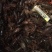 湖北潜江优质精品小龙虾大量上市，肉饱满，底板干净。