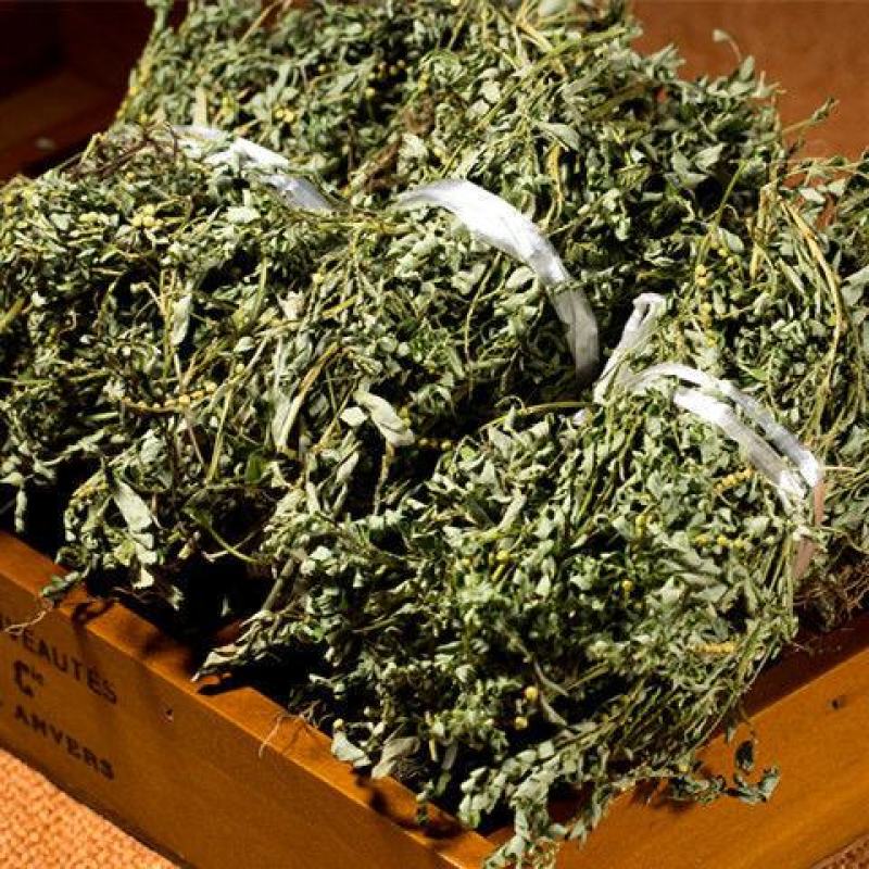 云南野生中药材叶下珠珍珠草叶下珍珠叶后珠