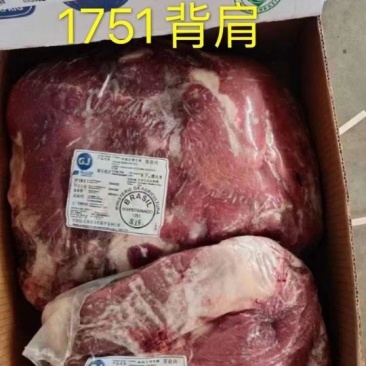 巴西GJ牛肉(背肩)17512543JBS