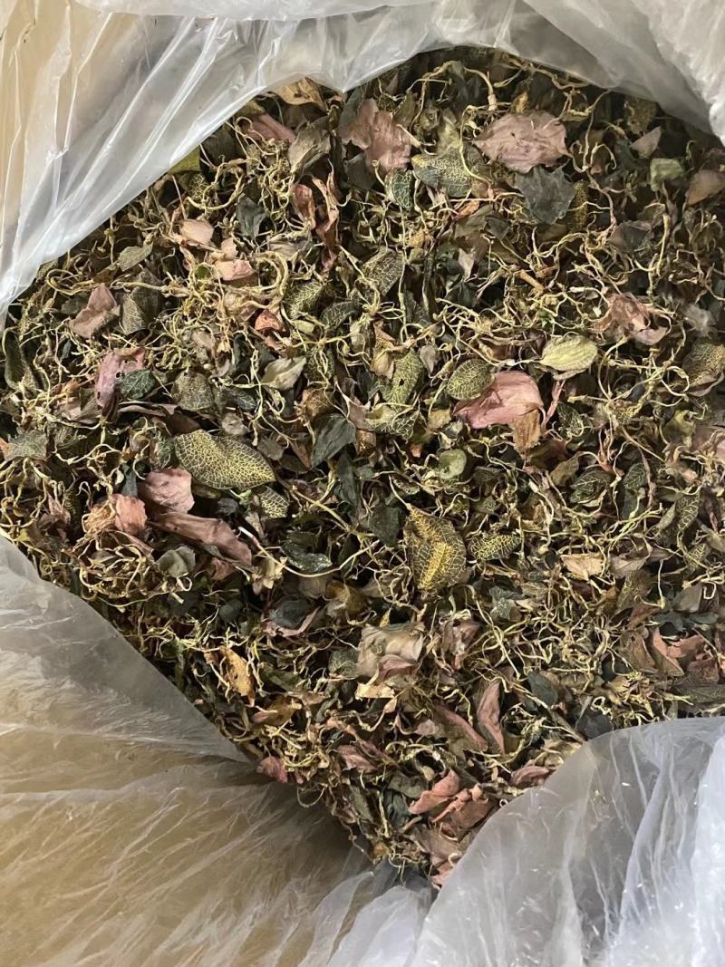 野生金线莲正宗干品广西野生深山金线莲