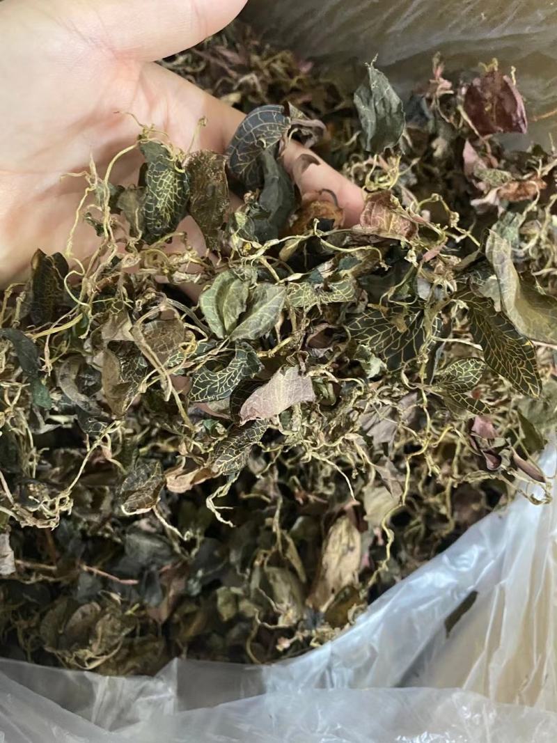 野生金线莲正宗干品广西野生深山金线莲