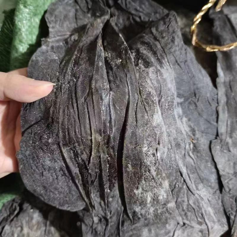 海带皮，大量现货，价格美丽，肉质厚，销量好