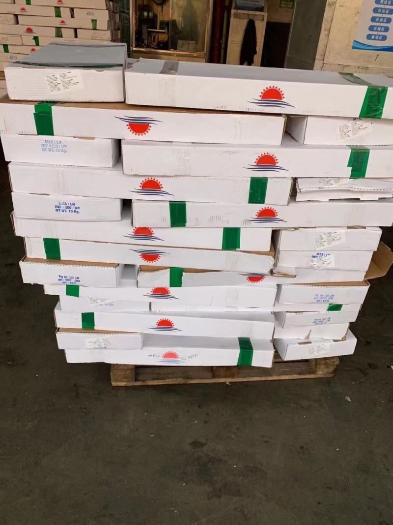 印尼钓带(300-500)(500700)巴西手续齐全