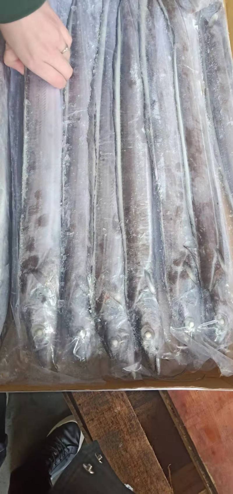 印尼钓带(300-500)(500700)巴西手续齐全
