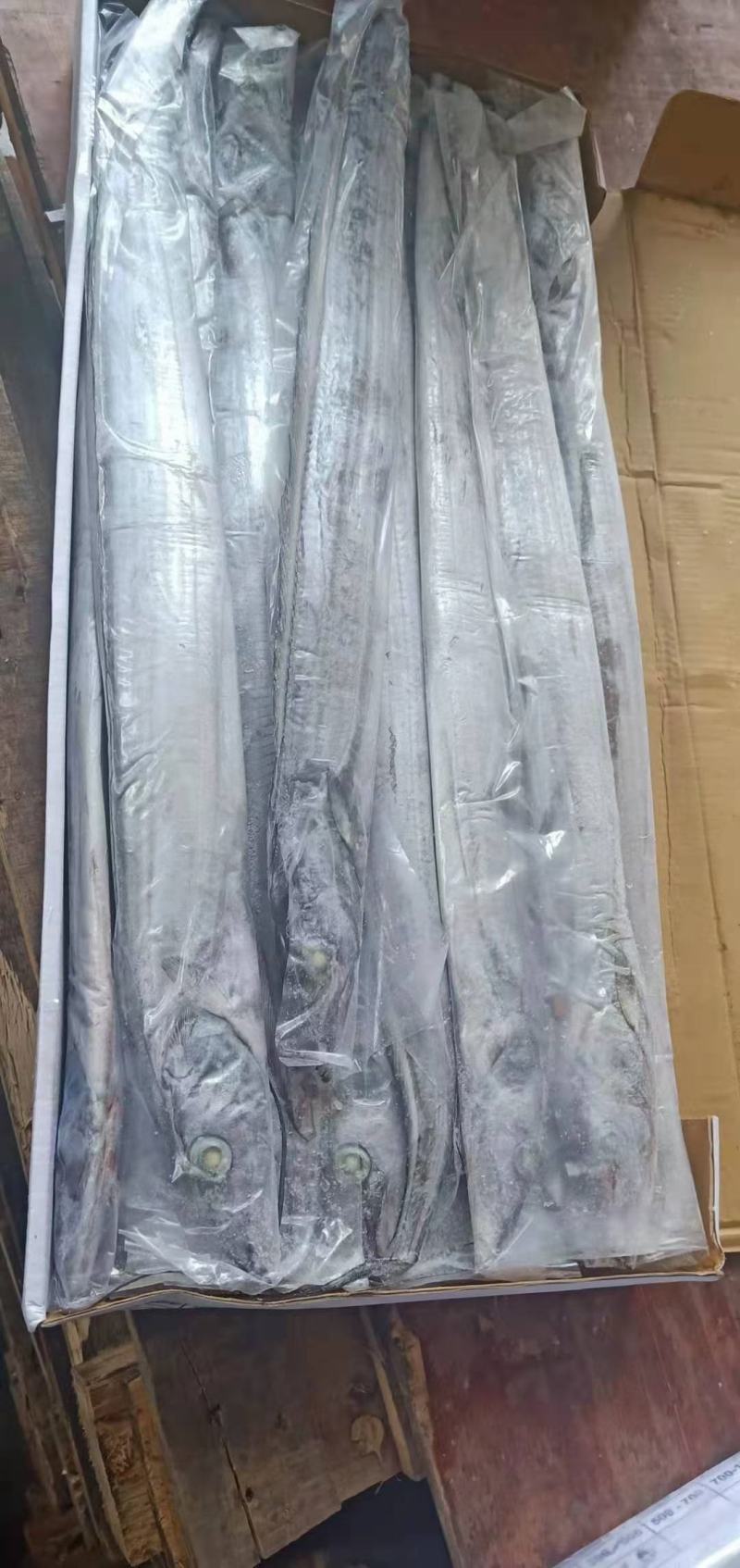 印尼钓带(300-500)(500700)巴西手续齐全