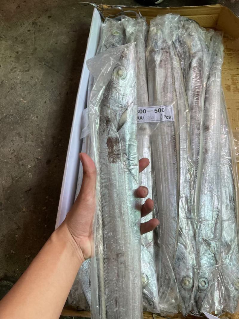 印尼钓带(300-500)(500700)巴西手续齐全