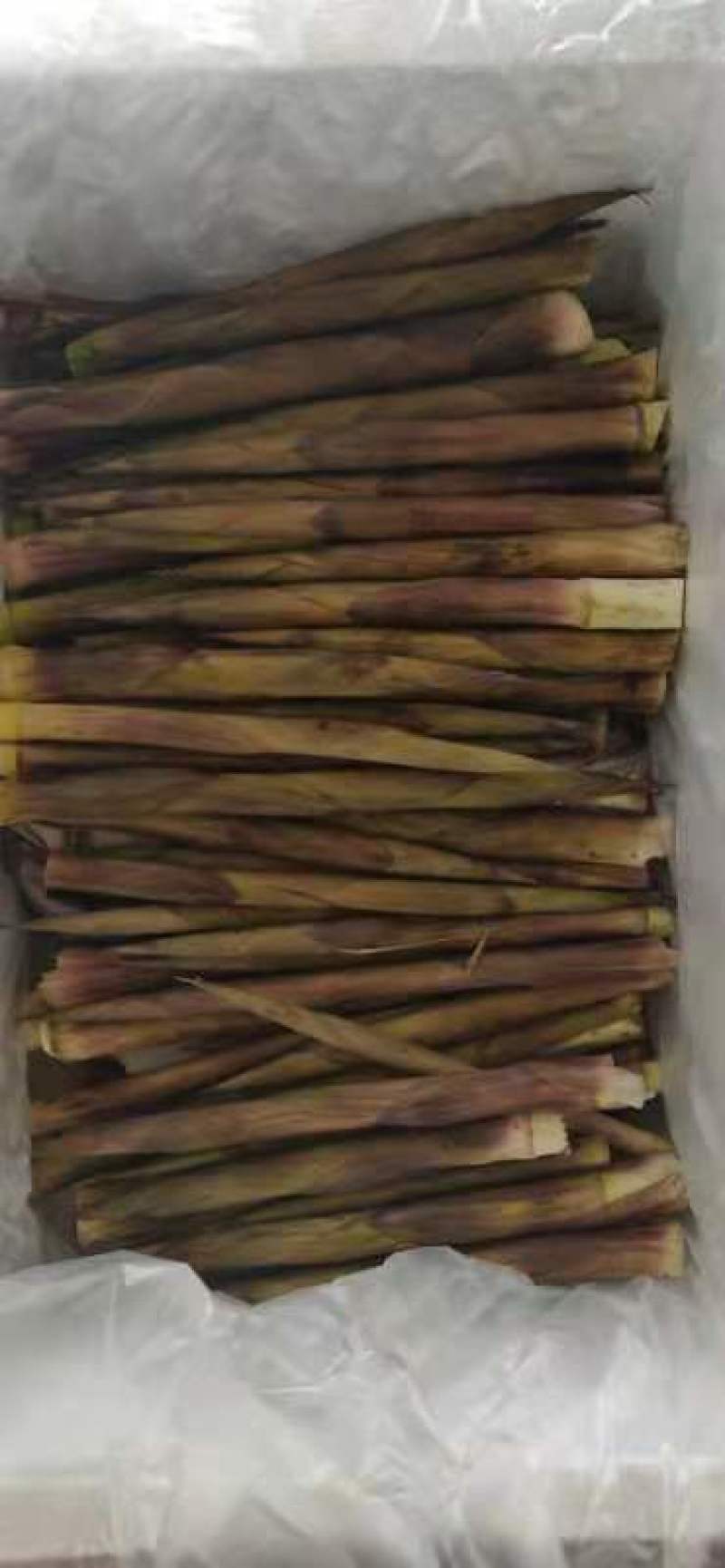 批发纯野生竹笋，欢迎全国各大城市下单