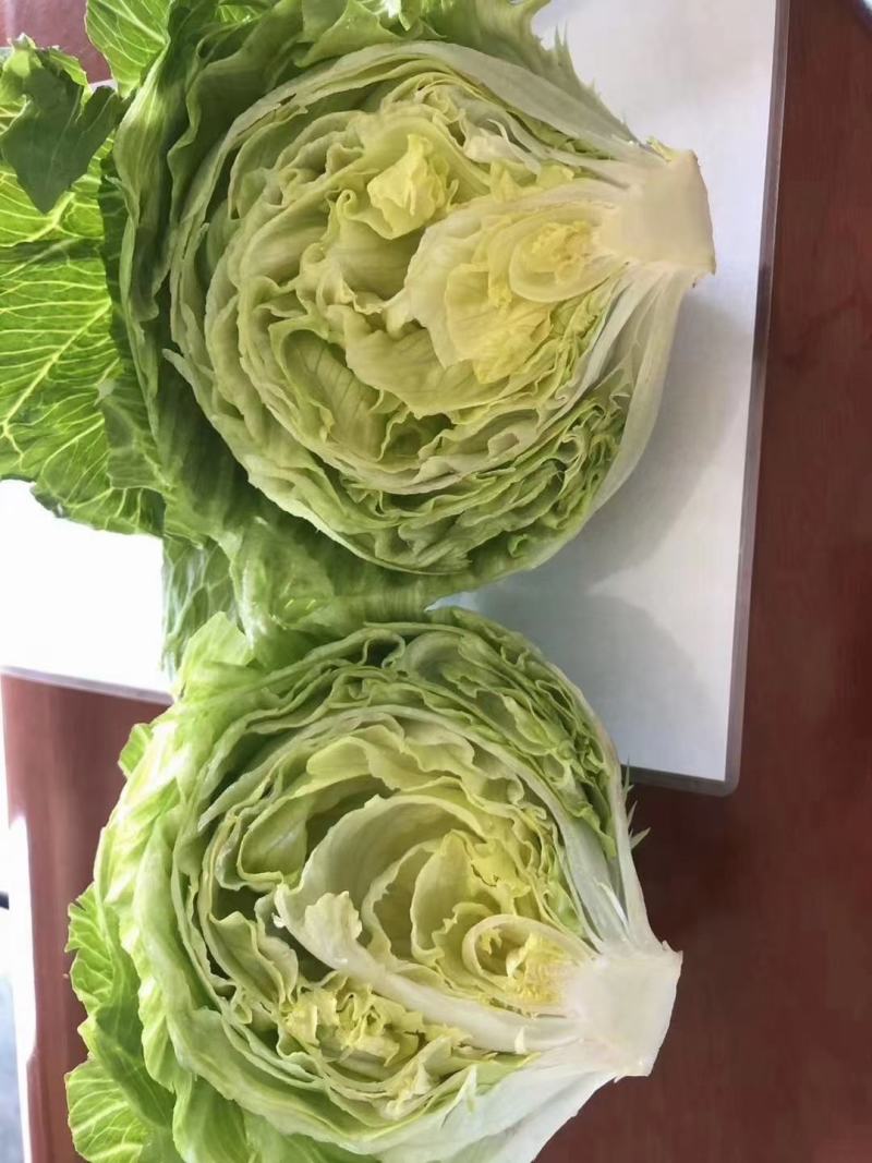 出口标准球生菜沙拉汉堡专用