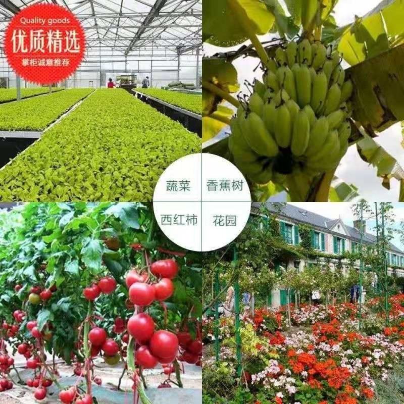 复硝酚钠植物生长调节剂98%原药肥料增效剂增根壮苗保花保