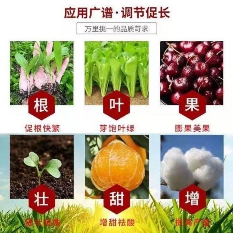 复硝酚钠植物生长调节剂98%原药肥料增效剂增根壮苗保花保
