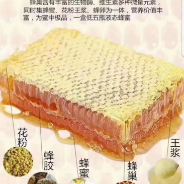 蜂蜜蜂巢蜜地摊展会一手货源现割现卖四季热卖