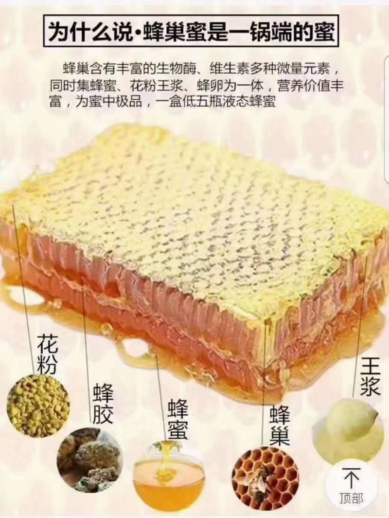 蜂蜜蜂巢蜜地摊展会一手货源现割现卖四季热卖