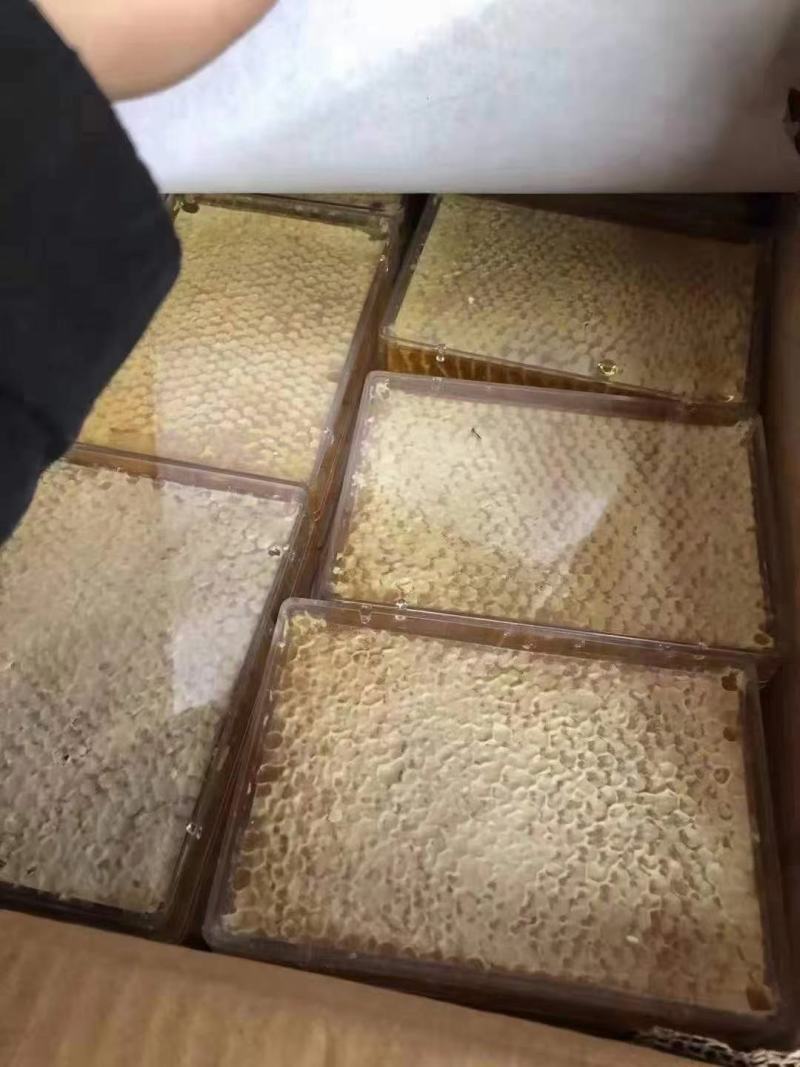 蜂蜜蜂巢蜜地摊展会一手货源现割现卖四季热卖