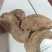 四川巴中高山精选优质野生天麻林下自然生长天麻无硫