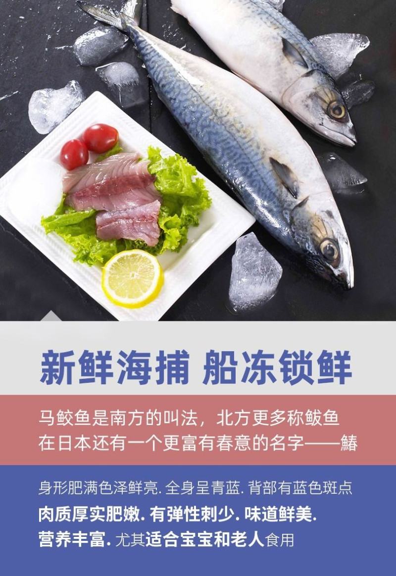 马鲛鱼片中段马鲛鱼马鲛鱼切片冻马鲛鱼片
