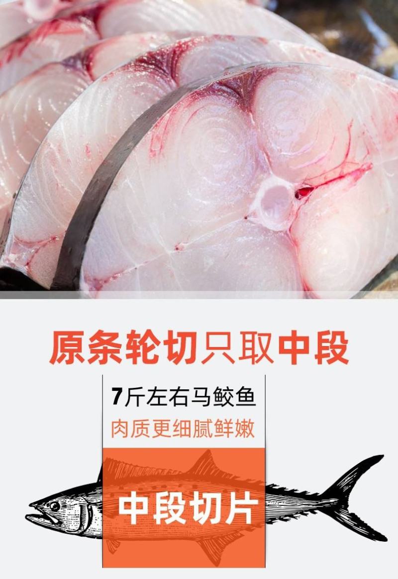 马鲛鱼片中段马鲛鱼马鲛鱼切片冻马鲛鱼片