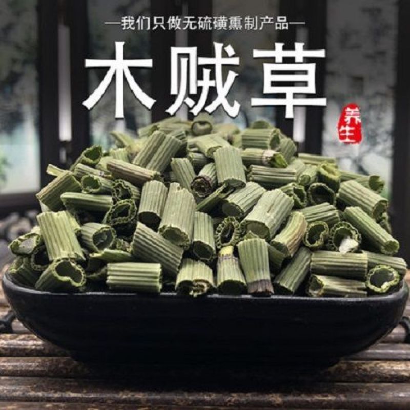 木贼草节节草木贼千峰草节骨草无心草笔头草中