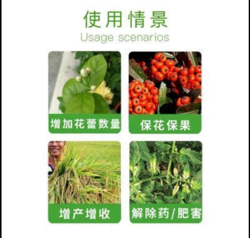 芸苔素内酯天然芸苔素植物生长调节剂