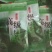 仙山茗露早春优级绿茶（中国四川世界立佛之地）包邮