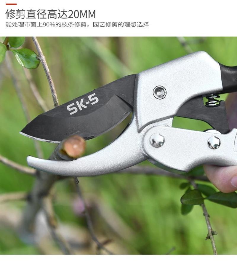 修枝剪刀果树剪刀园艺剪刀花艺修剪树枝剪刀