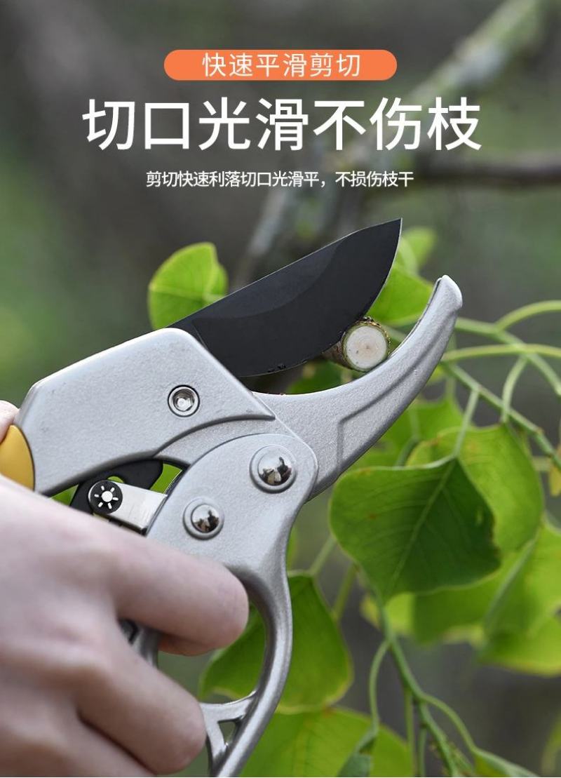 省力果树修枝剪刀分段式专业园艺修剪树枝园林修花枝剪粗枝剪