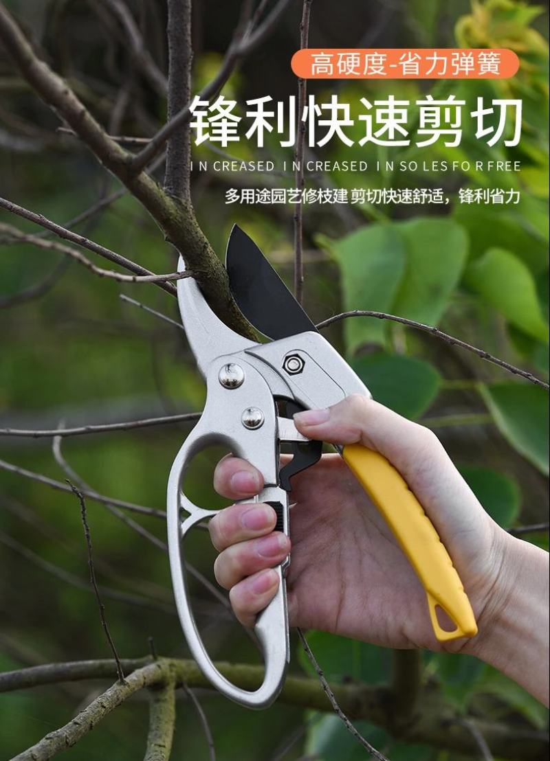 省力果树修枝剪刀分段式专业园艺修剪树枝园林修花枝剪粗枝剪