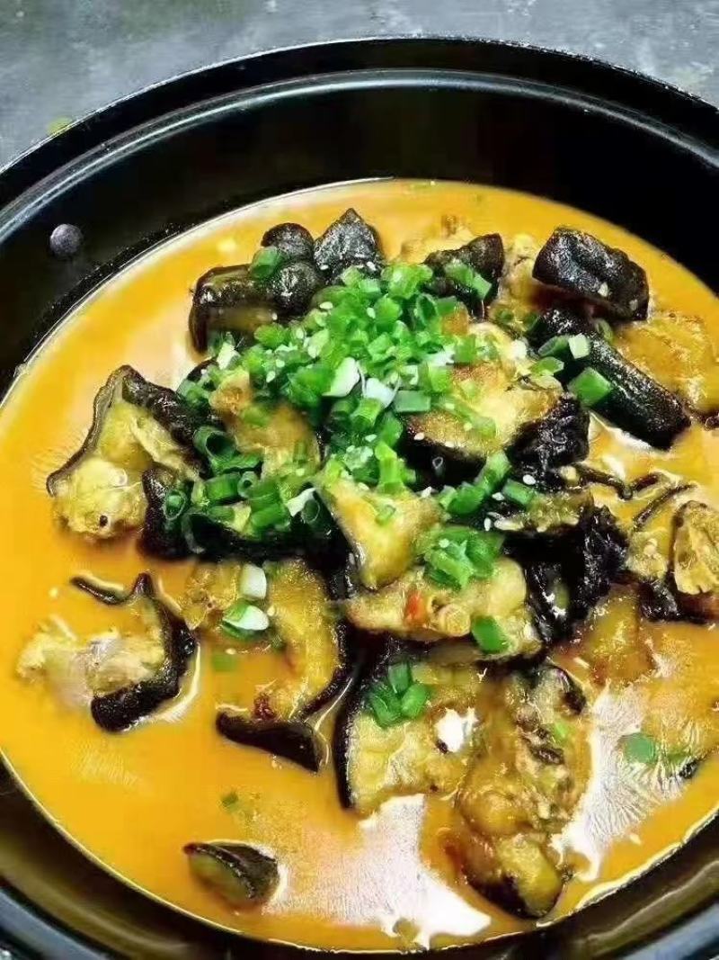 鳄鱼肉尾掌多种规格人工养殖诚信第一