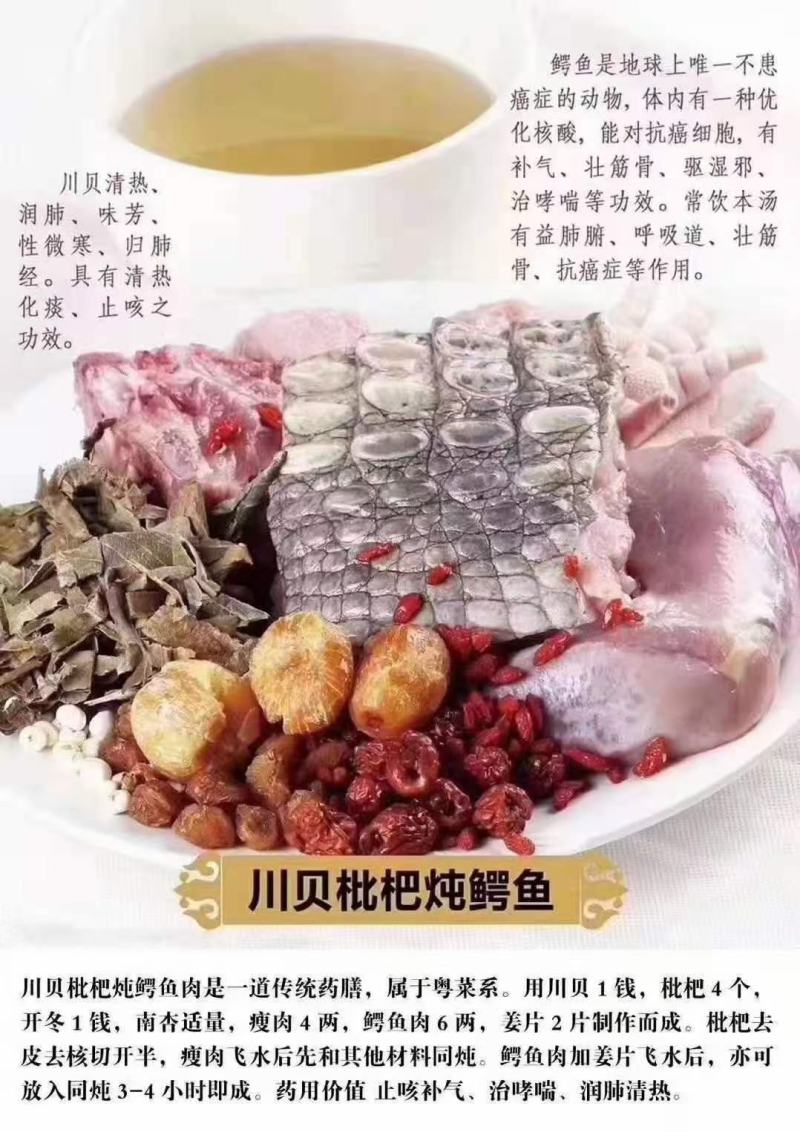 鳄鱼肉尾掌多种规格人工养殖诚信第一