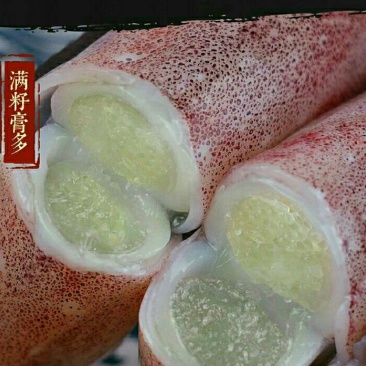 鱿鱼母、带籽母管400克/盒