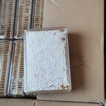 蜂蜜蜂巢蜜产地供货蜂蜜巢蜂窝蜜嚼着吃欢迎选