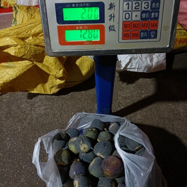 天然野生的凉粉果，别名王不留行
