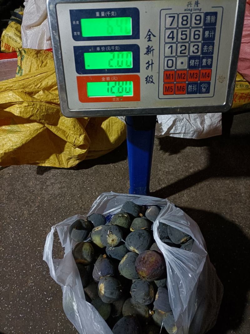 天然野生的凉粉果，别名王不留行