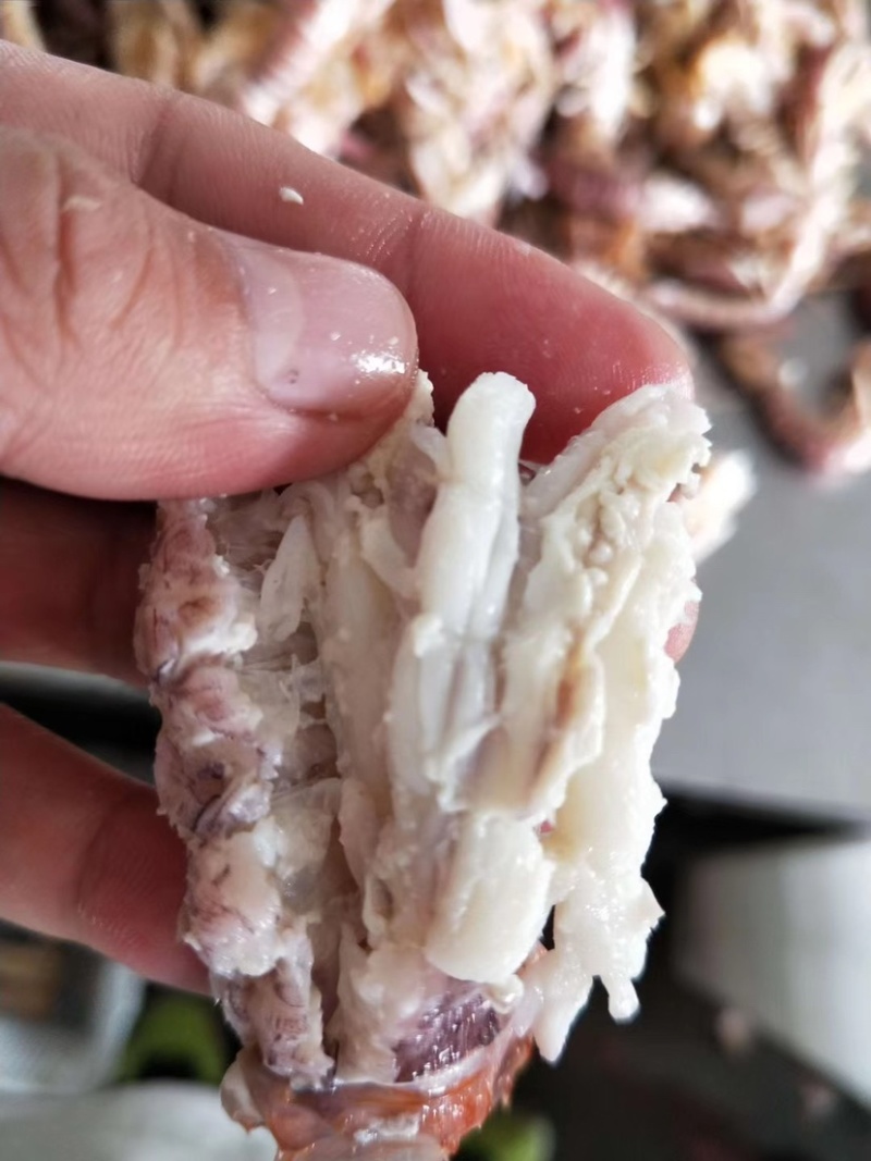 带膏皮皮虾，熟冻带膏皮皮虾，虾姑，虾婆支持定制