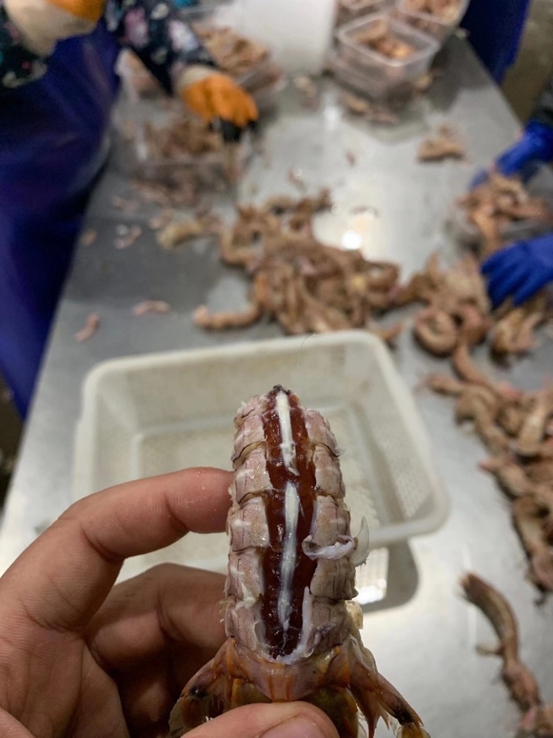 带膏皮皮虾，熟冻带膏皮皮虾，虾姑，虾婆支持定制