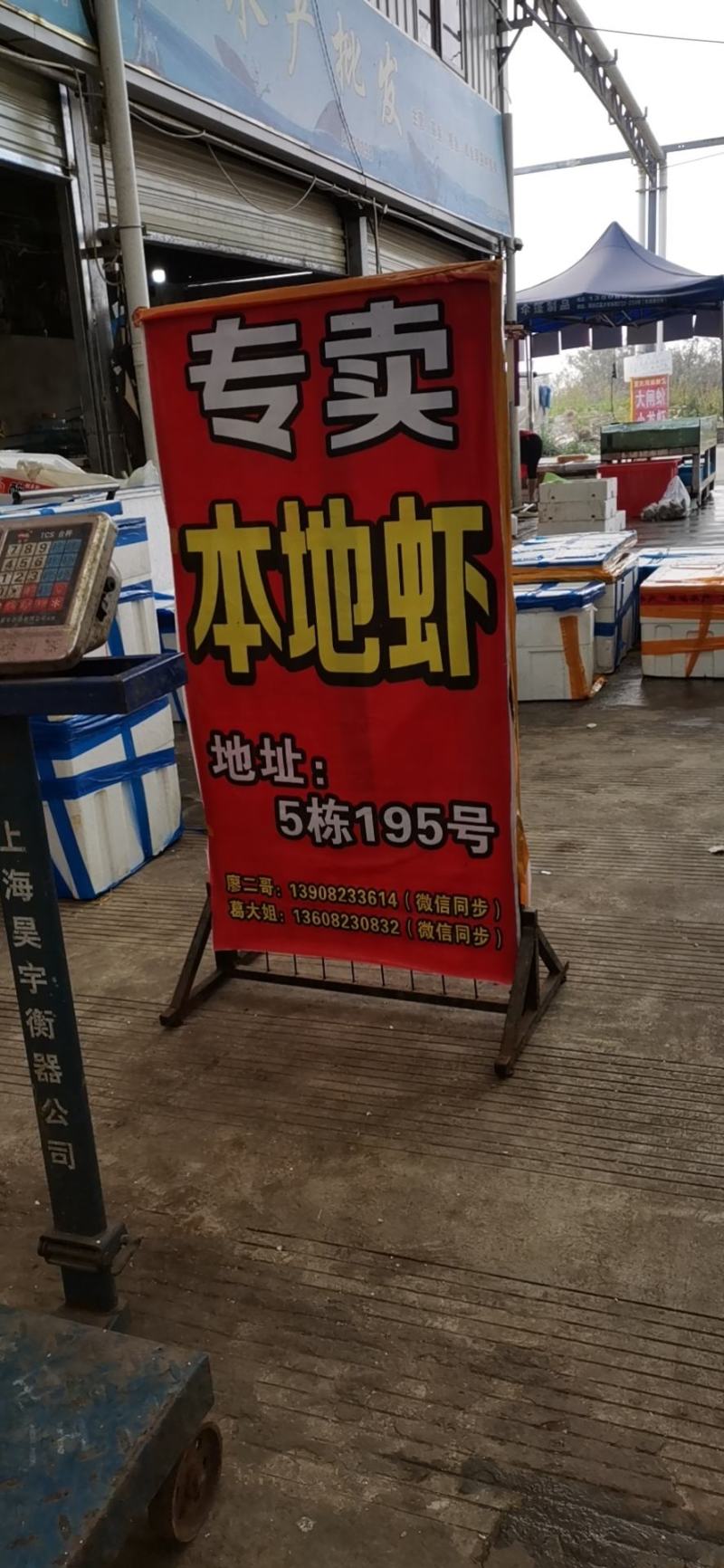 成都本地清水小龙虾上市了