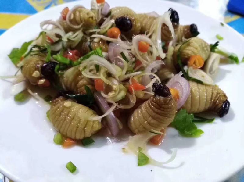 中国四川野生竹虫（笋蛆）郑重承诺假一赔十