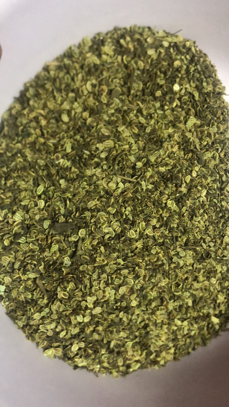 23新货你啊肉独活苗子200万苗子现予出售，