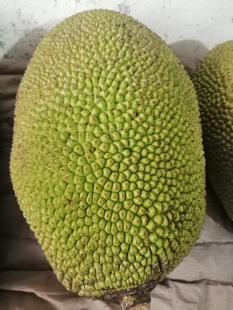 海南正宗菠萝蜜香甜口感好