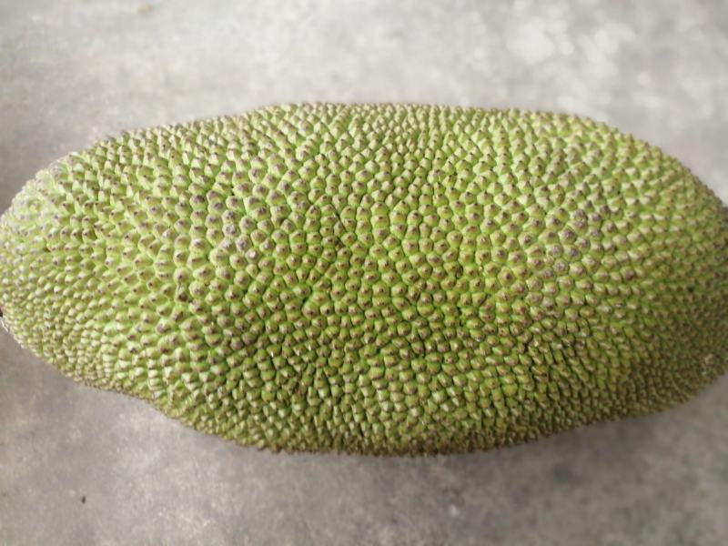 海南正宗菠萝蜜香甜口感好