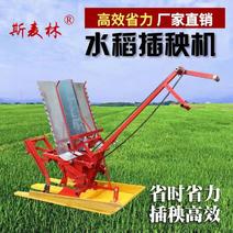 【厂家包邮】水稻插秧机手摇式新式两行插禾机小型农用耕种机