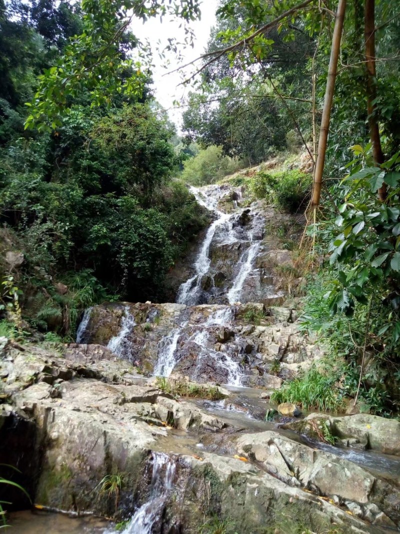 富硒:=纯原土蜂蜜小时候的味道