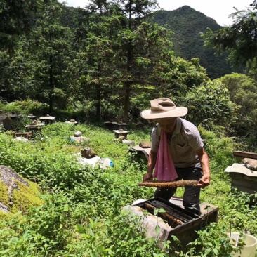 一切美好来自自然，无任何加工的纯生态环境的山区纯蜂蜜