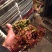 精品香椿芽大量现货天然食材