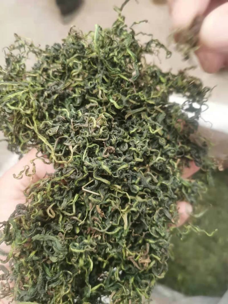 蒲公英茶，婆婆丁，蒲公英叶，蒲公英根，蒲公英