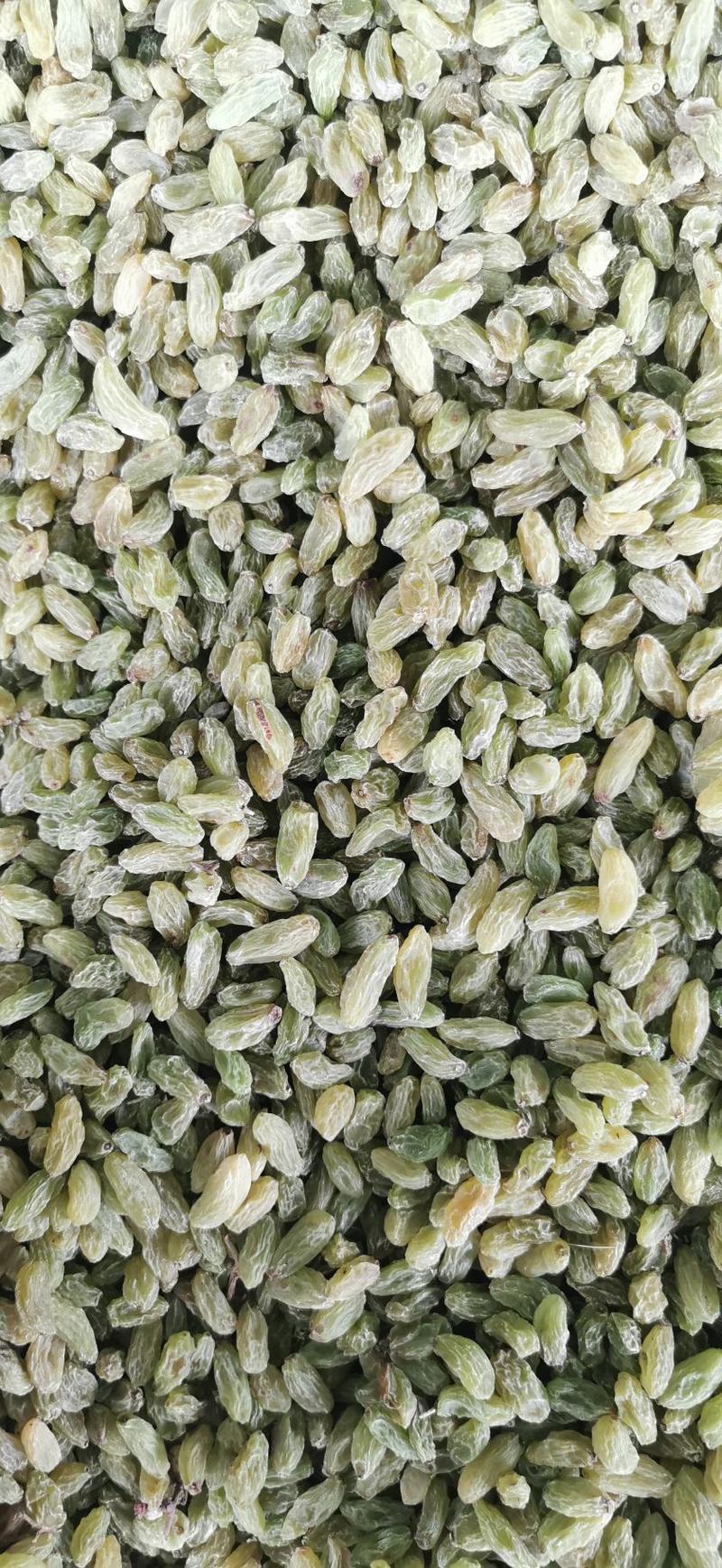 吐鲁番精品绿宝石葡萄干#吐鲁番直发#代办代收代发