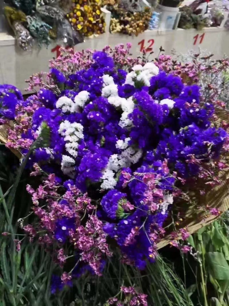 云南鲜花干花勿忘我多种颜色搭配