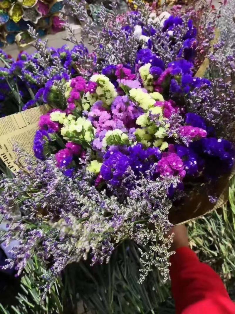 云南鲜花干花勿忘我多种颜色搭配