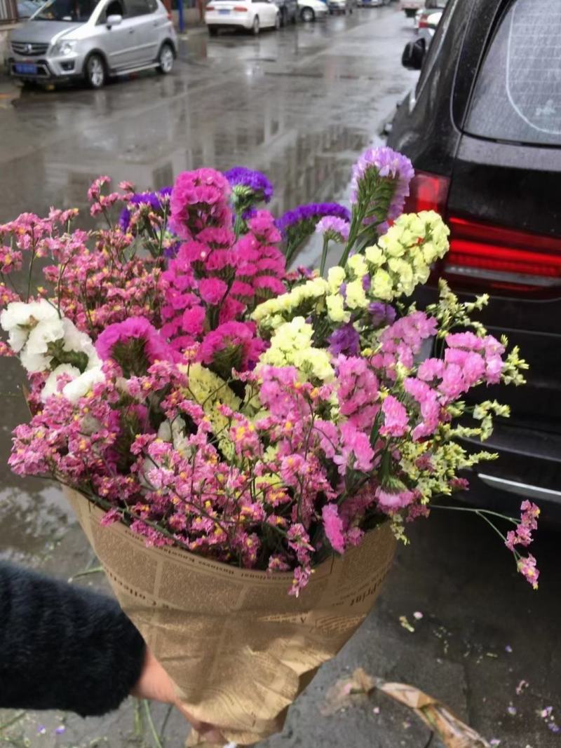 云南鲜花干花勿忘我多种颜色搭配