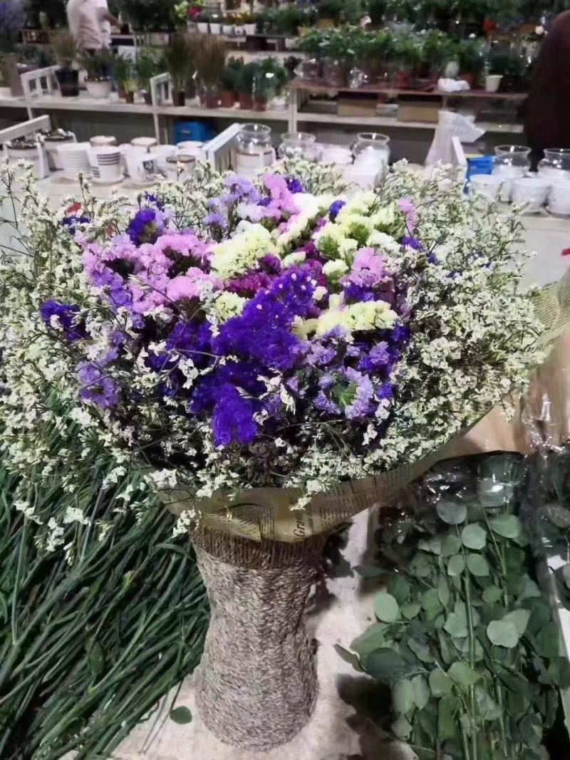 云南鲜花干花勿忘我多种颜色搭配