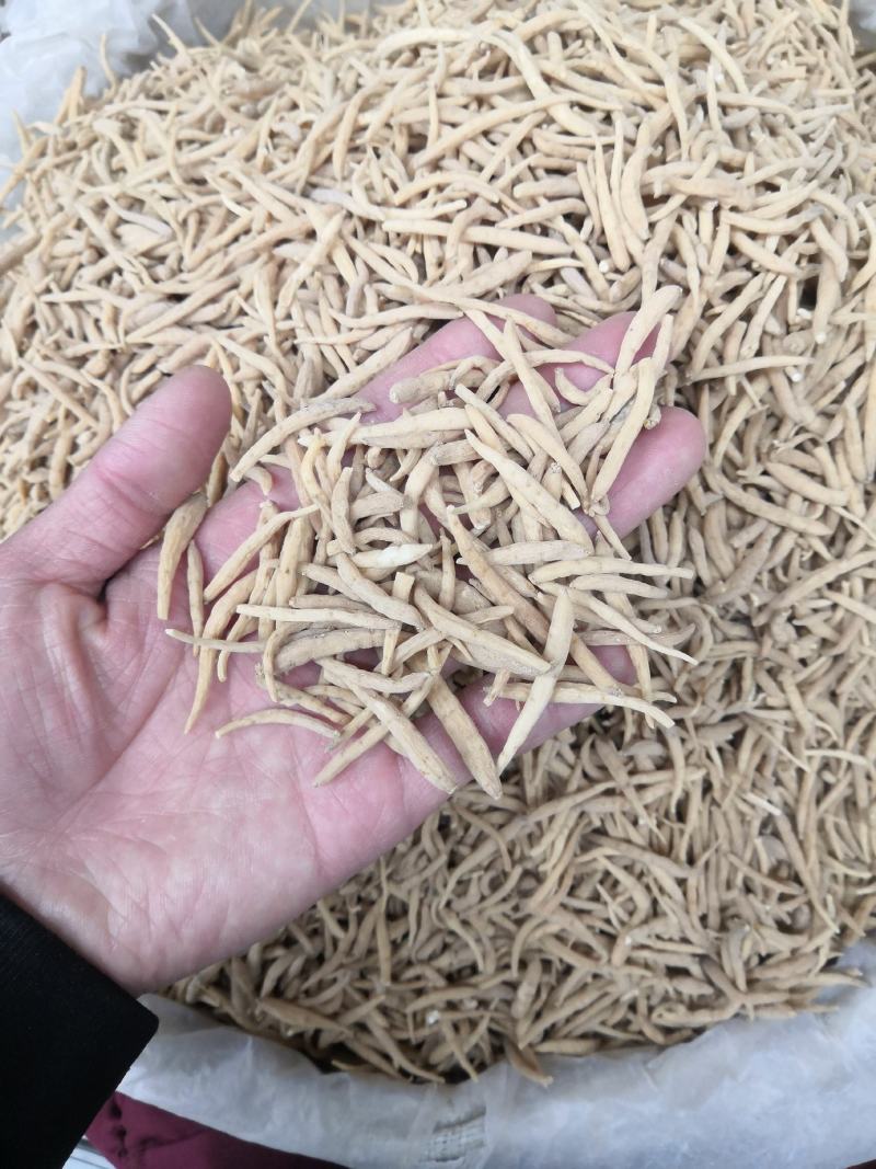 无硫贵州太子参选货新货批发各种中药材